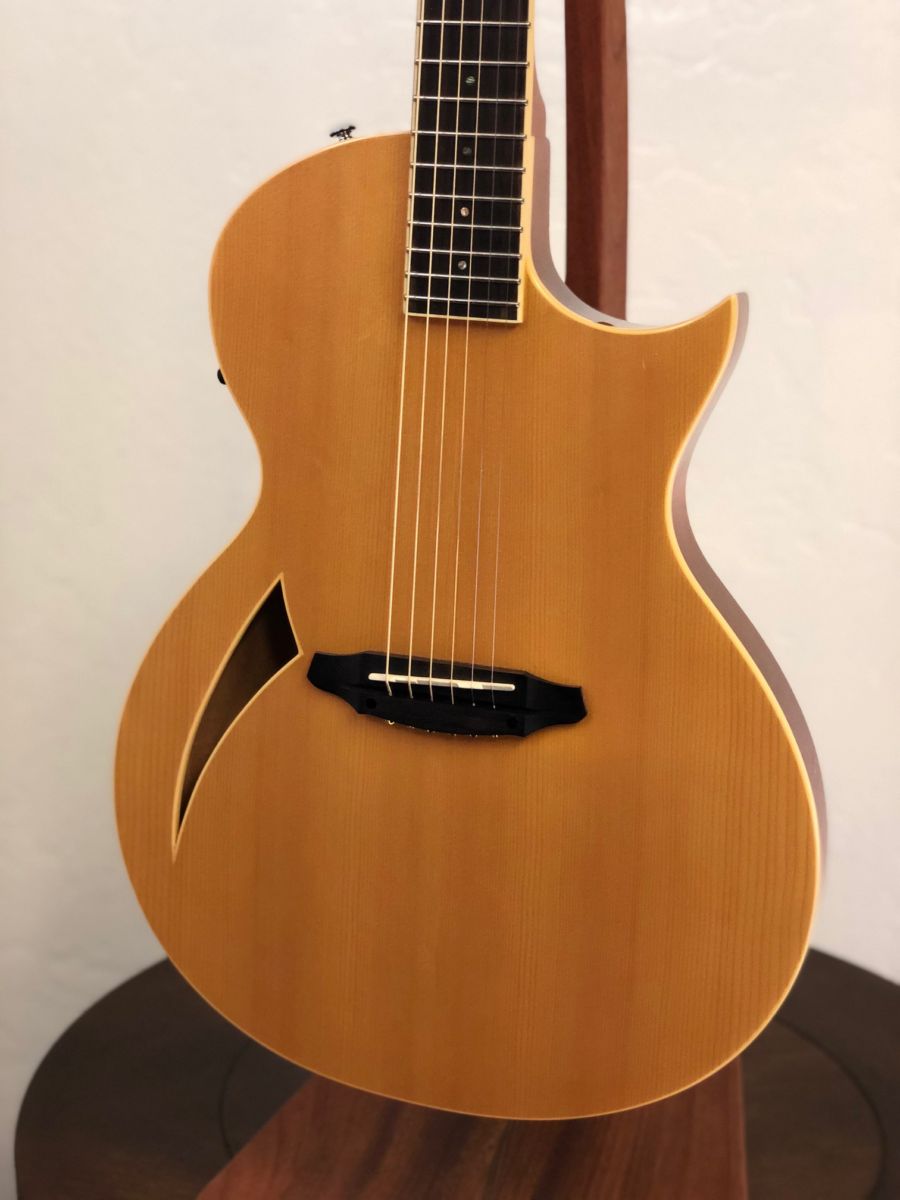 Used ESP LTD TL-6 Thinline Acoustic-Electric Guitar -SOLD- | Sun Valley